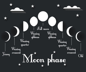 Obraz premium The phases of the moon. Vector illustration.