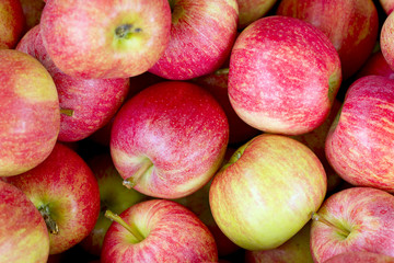 Red apples