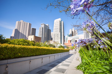 Flowers in Yerba Buena Gardens park, San Francisco