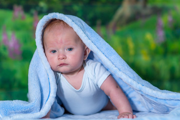 Portrait of a baby in a blue towel.