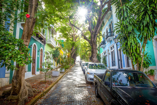 Beautiful street full of trees in old San Juan, Puerto Rico