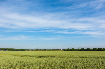 Fototapeta premium 1956 Landwirtschaft & Ernte