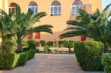 beautiful area with palm trees on the background of the house