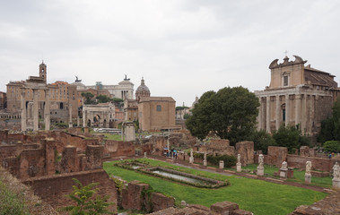 Fototapeta na wymiar Forum Romanum w Rzymie