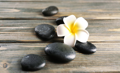 White plumeria flower with pebbles on wooden background