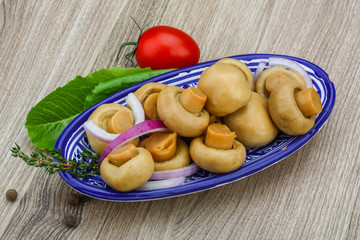 Pickled champignon