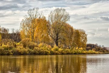 Trees on the river bank