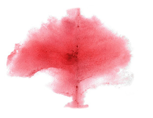 Abstract handmade scarlet and pink watercolor splash on white background. Autumn tree structure.