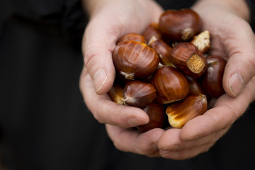 Chestnuts