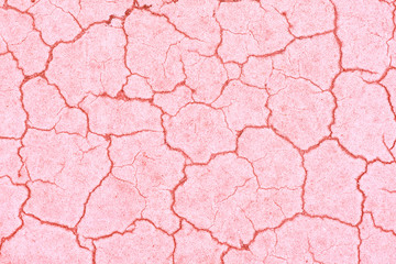 Pink cracked texture