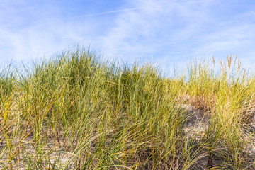 Fototapeta premium warnemünde ostsee