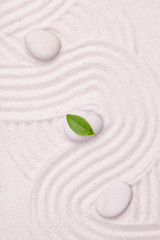 Fototapeta na wymiar Zen garden with wave lines in the white sand with a green leaf
