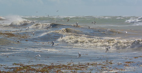 Stürmische See an der Küste der Insel Re