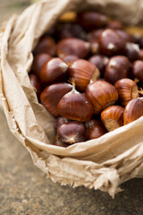 Freshly harvested raw sweet chestnuts