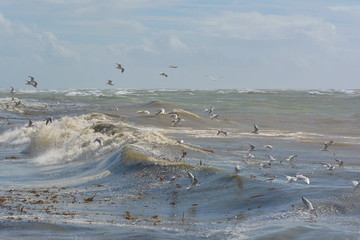 Stürmische See an der Küste der Insel Re