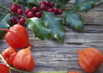 Stechpalme, Ilex Zweige mit roten Beeren und Lampionblumen auf altem Treibholz / Holz Brett