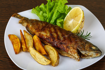 Grilled trout