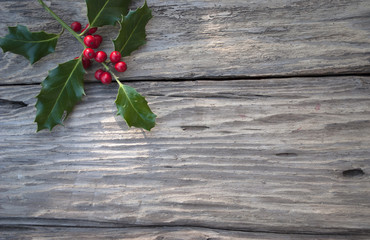 Stechpalme, Ilex Zweig mit roten Beeren auf altem Treibholz / Holz Brett 
