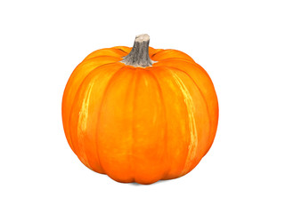 3D model pumpkin isolated on white background