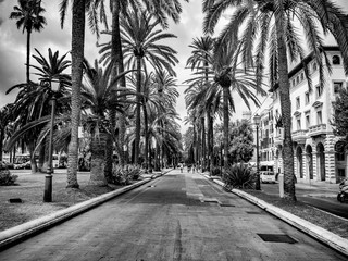 Promenade am Parc de la Mar in Palma © dbarto