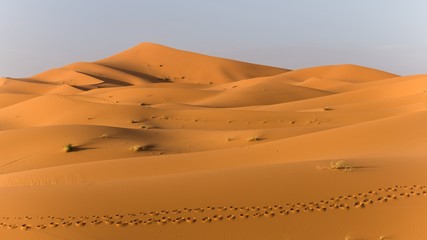 Fototapeta na wymiar exploring the sahara desert in morocco