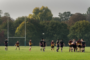 Rugby Match in the Park