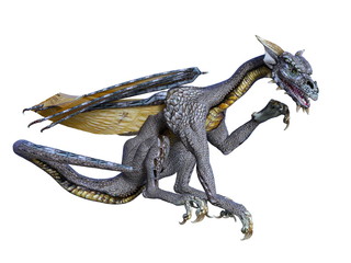 Obraz premium ドラゴン