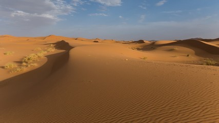 Fototapeta na wymiar the sahara desert in morocco