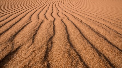 the sahara desert in morocco