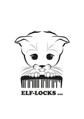 Totono and broken comb