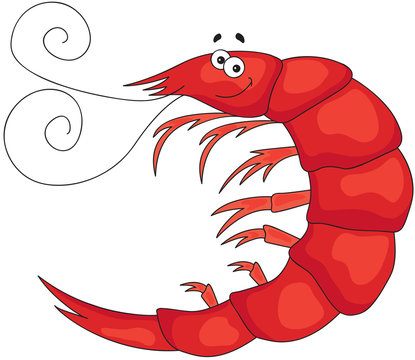 Funny cute cartoon shrimp