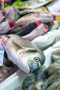 pesci al mercato