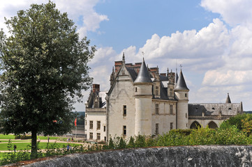  Il castello di Amboise - Loira , Francia