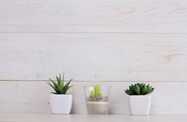Succulents and cactus  in pots on over white wooden background. Home interior decoration. Scandinavian or  shabby chic style. Copy space image