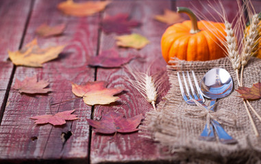 Pumpkins and autumn leaves