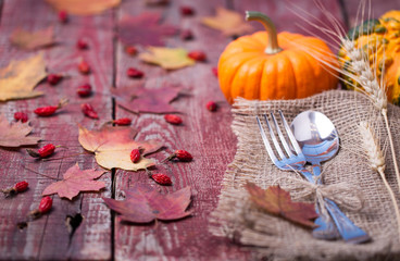 Pumpkins, autumn leaves and a dogrose