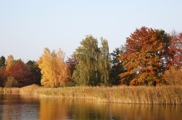 Herbstlandschaft