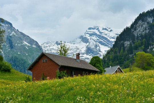 Snowy Mount Saentis (Santis) viewed from Alt st Johan, Switzerla
