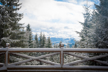 Beautiful winter landscape with snow covered trees