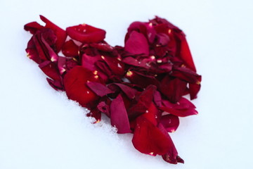 Heart from rose-petals on white snow.