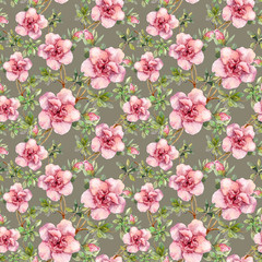 Pink flowers. Seamless tiled floral wallpaper. Watercolor design on gray background 