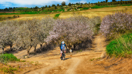 Fototapeta na wymiar Cyclist on a background of beautiful landscape