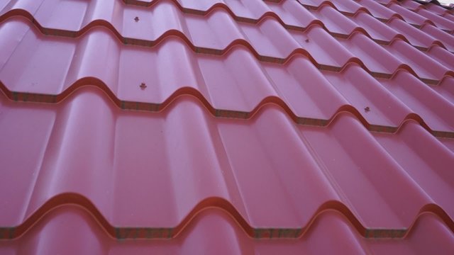 Close-up of roof tiles