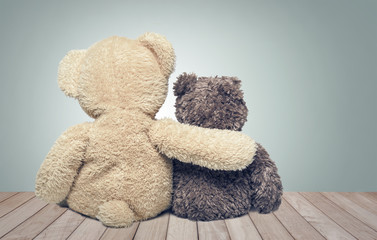Friendship. Two teddy bears.