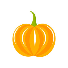 Pumpkin vector illustration