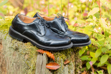 man shoes  in autumn garden