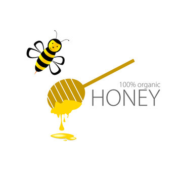 bee with honey spoon yellow vector