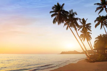 Crédence de cuisine en verre imprimé Plage tropicale beau coucher de soleil sur la plage tropicale