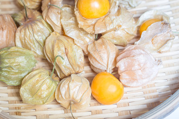 Physalis fruit