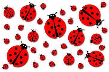 Obraz premium Many Ladybugs Shadows